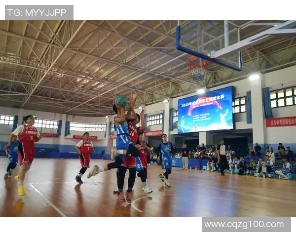 王伟谈篮球人生：从青涩少年到职业球员的心路历程回顾